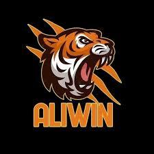 aliwin Mobile Legend