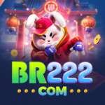 br222 Casino Supreme v2.6.5